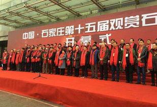 石家庄近期爆料新闻事件,揭秘背后真相与影响  第1张